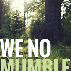 We No Mumble ft. Ragga Twins (Original Mix)