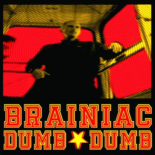 Project DumbDumb