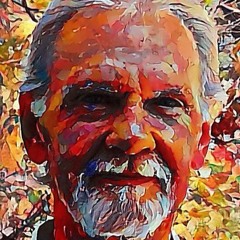 Hank Beukema - Writer - Narrator