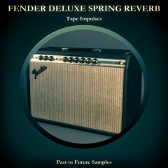Fender Deluxe Spring Reverb Surf Guitar Demo