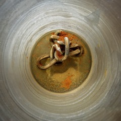 Coppice Wet Hologram (Live)