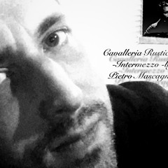 Theme from Cavalleria Rusticana - performed by Mark Woodyatt, violin, Jennie Pitkus, piano at a funeral for a friend