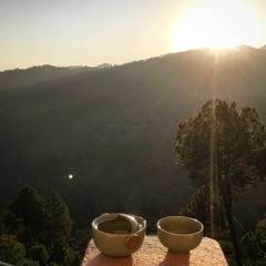 Himalaya chai set