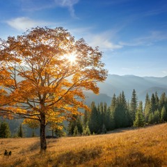 djmarko @ rudens mix