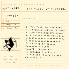 The Tower At Tortenna