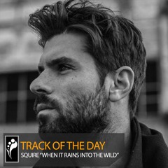 Track of the Day: Squire “When It Rains Into the Wild”