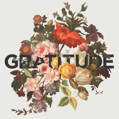 #003: Gratitude