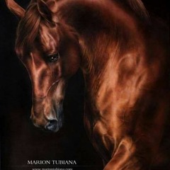 Al Finjal (The Coffee Cup)