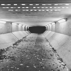 acid holon - bitvert/scanone