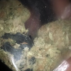 CHINUH STICK UP PROD BY SEZ ON THE BEAT.mp3