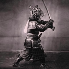 Samurai Shit
