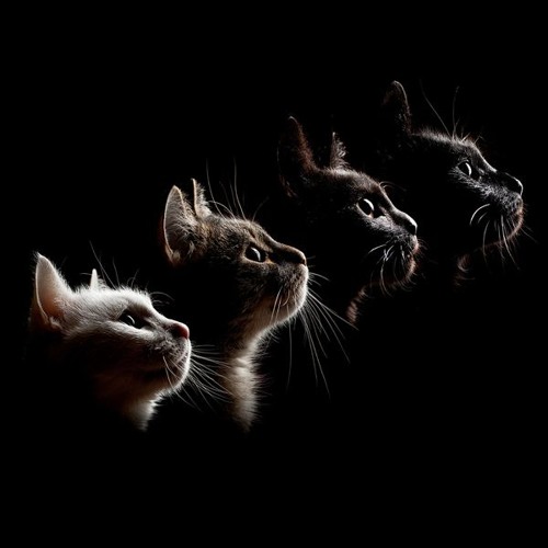 Remets En Une Couche - 086