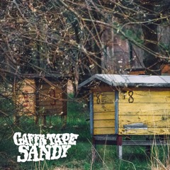 Gaffa Tape Sandy - Beehive