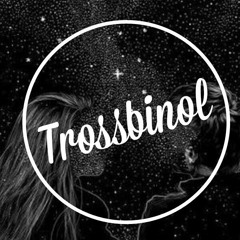 Gestört Aber Geil feat. Lea Wohin Willst Du Trossbinol Remix