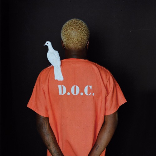 Black Sheep White Dove
