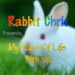 My Pace Of Life With You (The End)