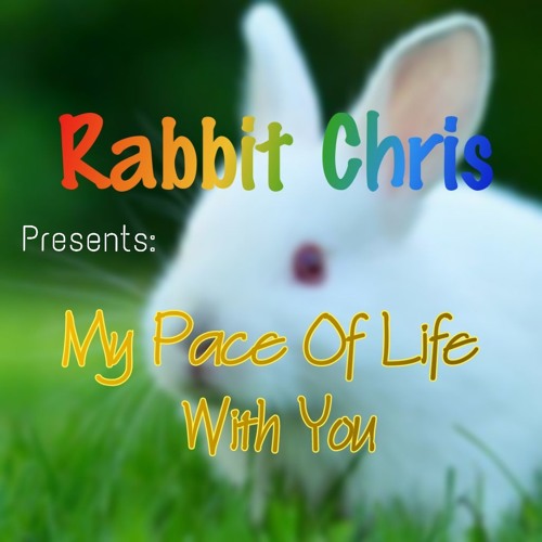 My Pace Of Life With You (The End)