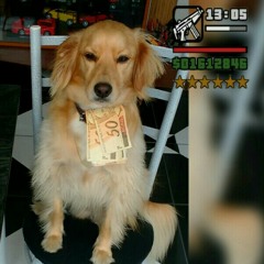 MC PP DA VS - ACAPULCO - DJ NENE MPC (LANÇAMENTO 2017)