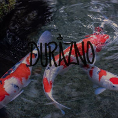 Durazno ft. Bigheadbandit