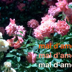 mal d'amour