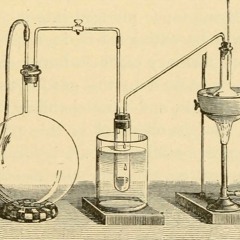 Bill Nye the Science Guy