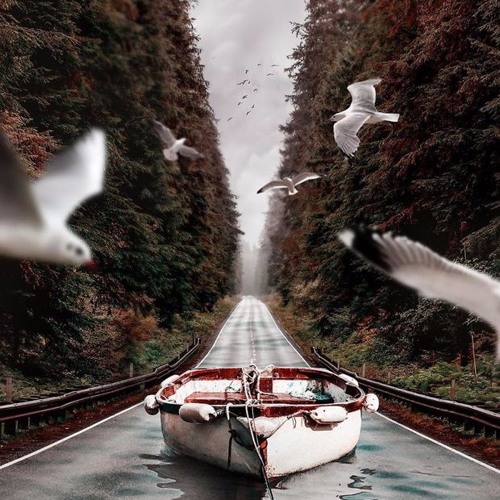 Giấc Mơ Êm Đềm - KEN