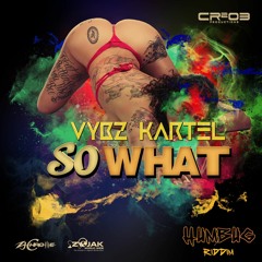 Vybz Kartel - So What