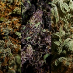 CORTEXT & YESIR - DEAD IN THE MORNING