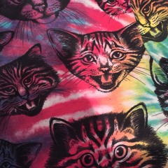 Magic Kitty Power Pants
