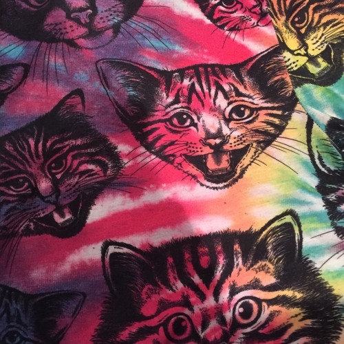Magic Kitty Power Pants