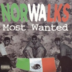 Norwalk's Most Wanted - We Do Damage