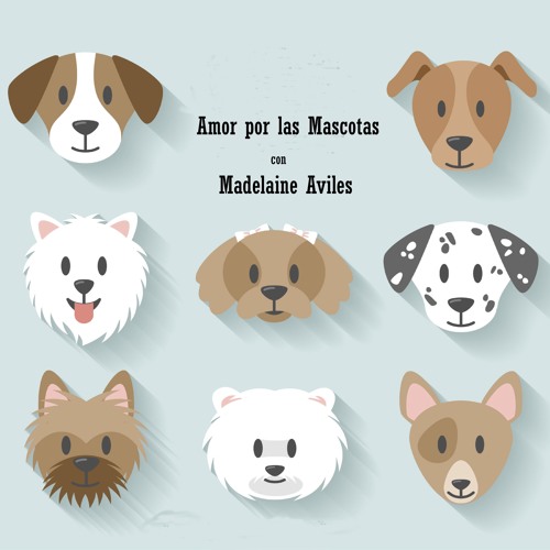 Stream Amor Por Las Mascotas 02 by Alex Valencia | Listen online for free  on SoundCloud
