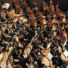 Symphony N° 1 (Pièces À Conviction)