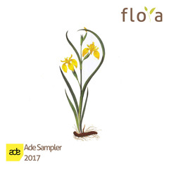 Premiere: Stas Drive - Vedanta [Fauna & Flora]