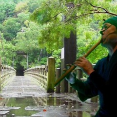 Japanese suspension bridge of autumn rain