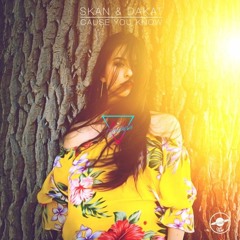 Skan & Dakat - Cause You Know (Anzbern Remix)