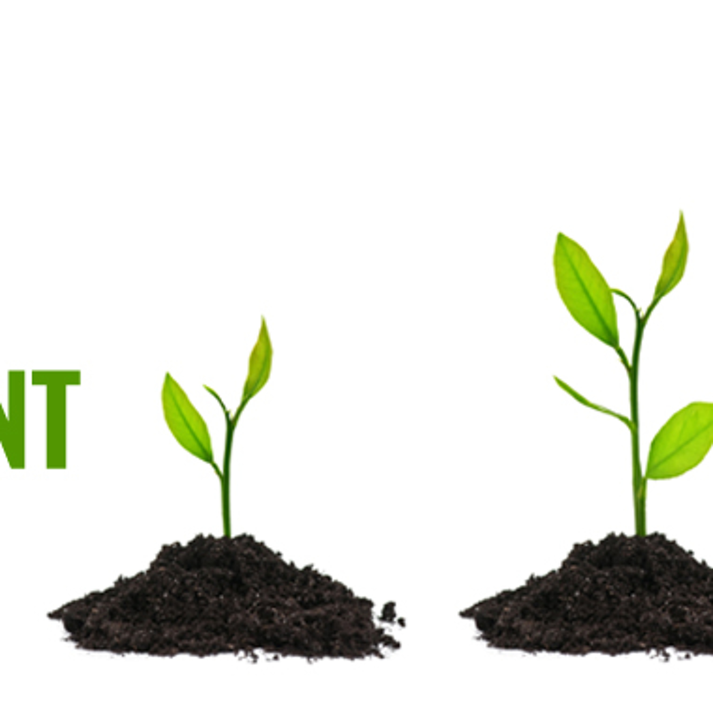 Biz Dev is the Most Important Role in Your Business | Private Money Minute # 169 episode artwork