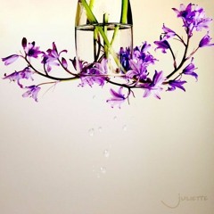 Juliette - Mayfield