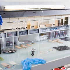 DAE Design Research Podcast - Paul Slot – Genetically Modified Objects #5