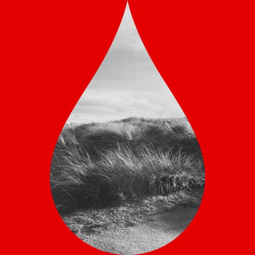 F/ire U/p T/he L/ights