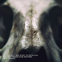 Will Sparks x Ben Nicky vs Metallica - Nothing Pirates Else Matters (JMXX Mashup)