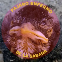 Pájaro Enfermo De La Sabana (La Puntilla Rmx) FREE DOWNLOAD