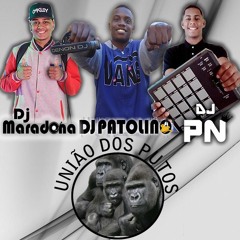 MONTAGEM - TO BOTANDO  ((( UNIÃO DOS PUTOS ))) [ DJS MARADONA, PATOLINO E PN ]