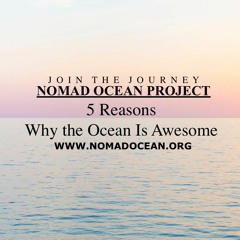 Why The Ocean is awesome