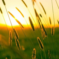 S-S-Summer