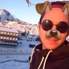 Piginnaaneqarputit