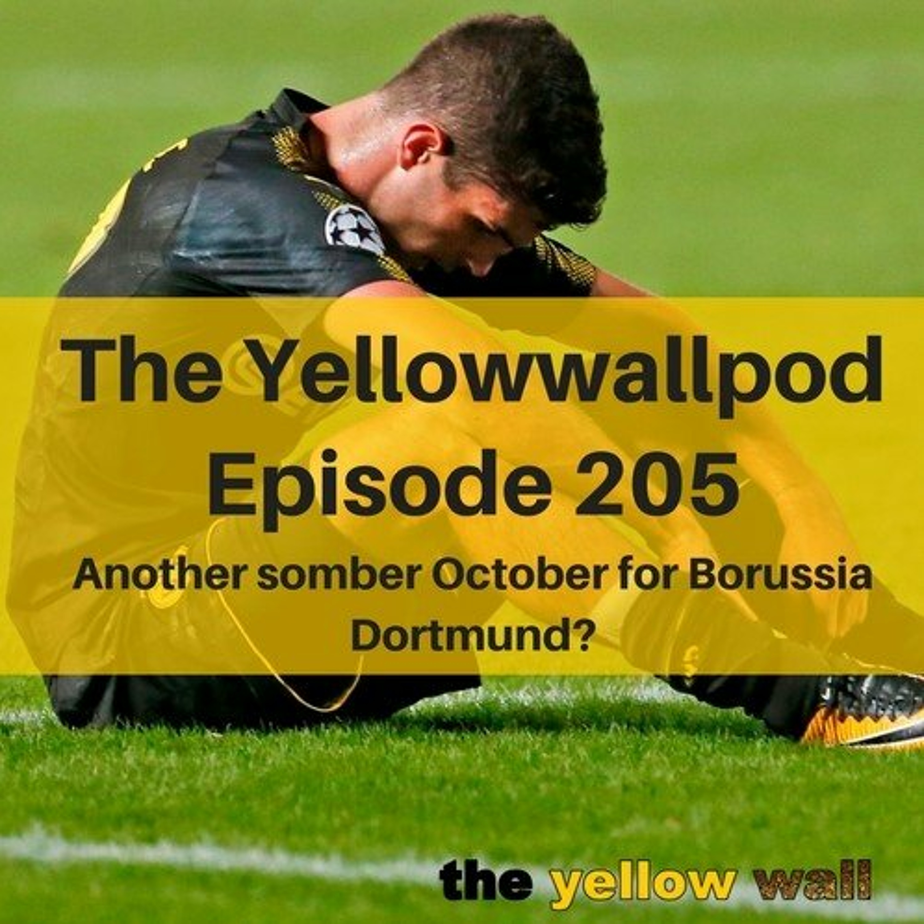Yellowwallpod