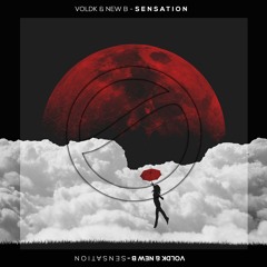 Voldk & New B - Sensation