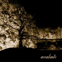 Accalmie - Mes Insomnies Légères (acoustique @ 48fm)
