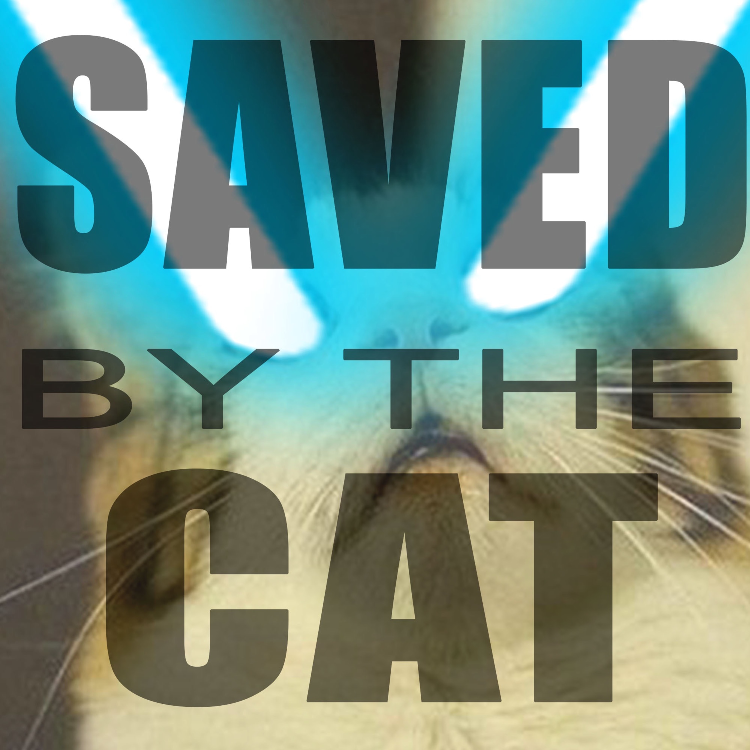 Saved by the Cat Ep. 2- Blank Cat thumbnail